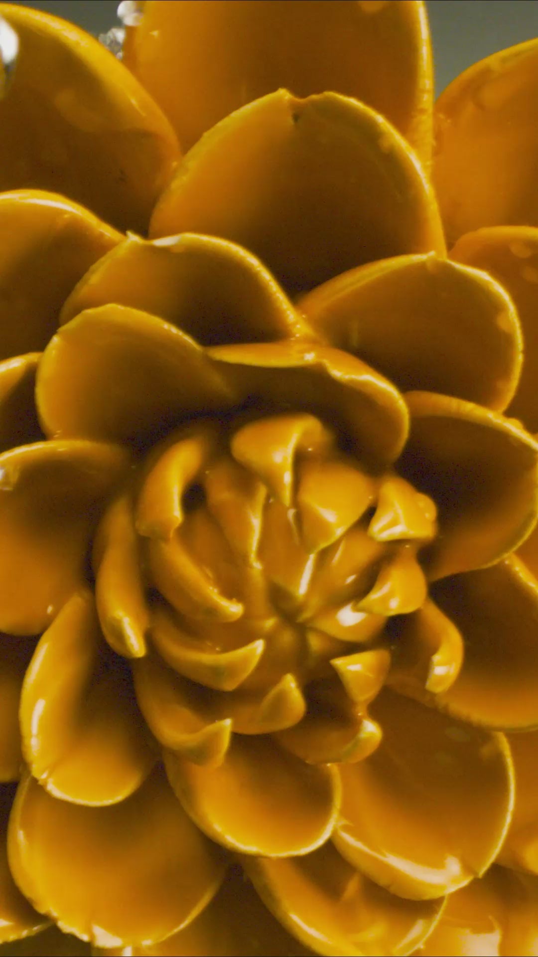 Orange Fiesta Marigold Ceramic Wall Flower | Chive