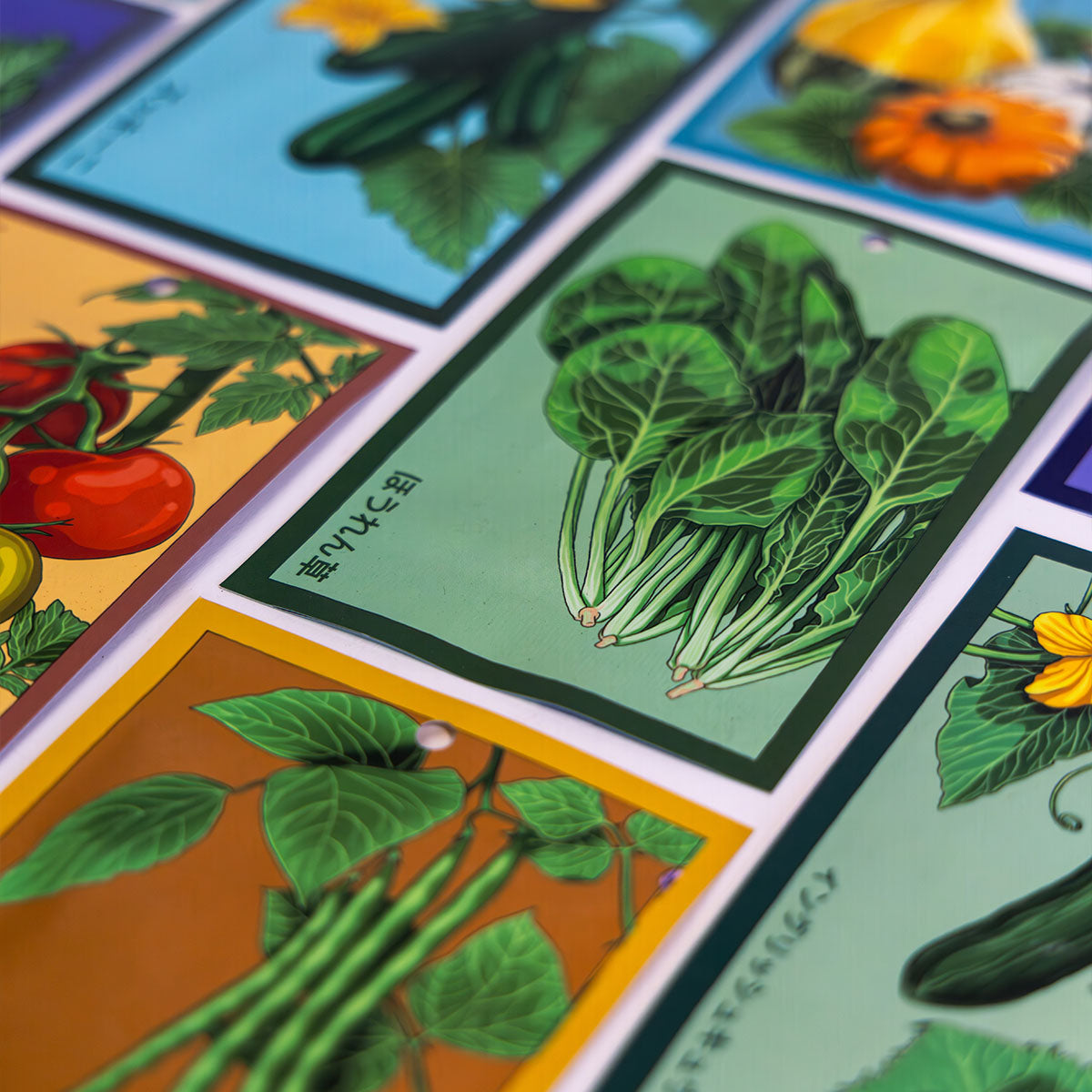 Vegetable Shido Seeds packets — by Chive Studio Toronto