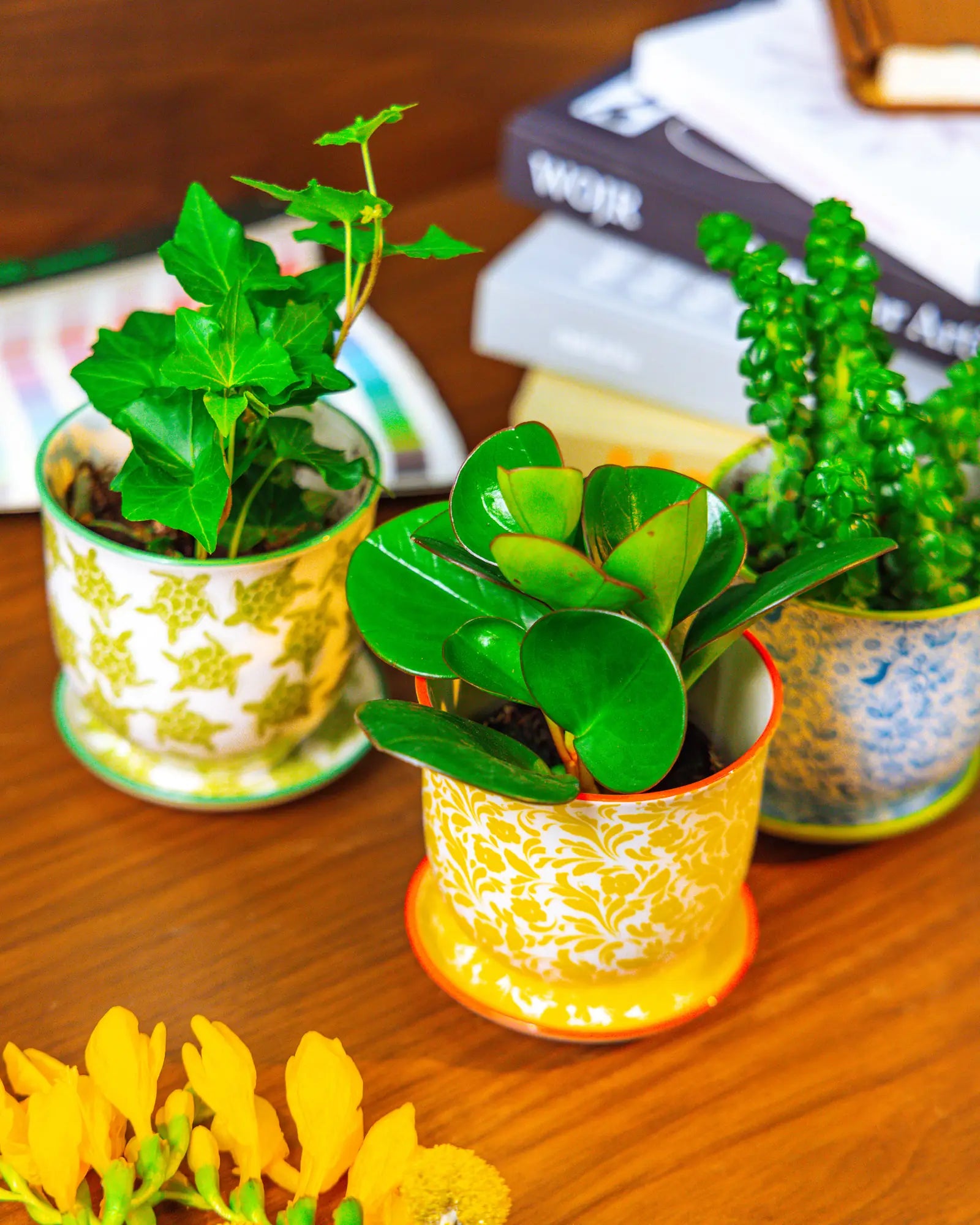 Chive Liberté small planters in yellow flowers, turtles, and blue birds prints, styled with a peperomia, ivy, and succulent.