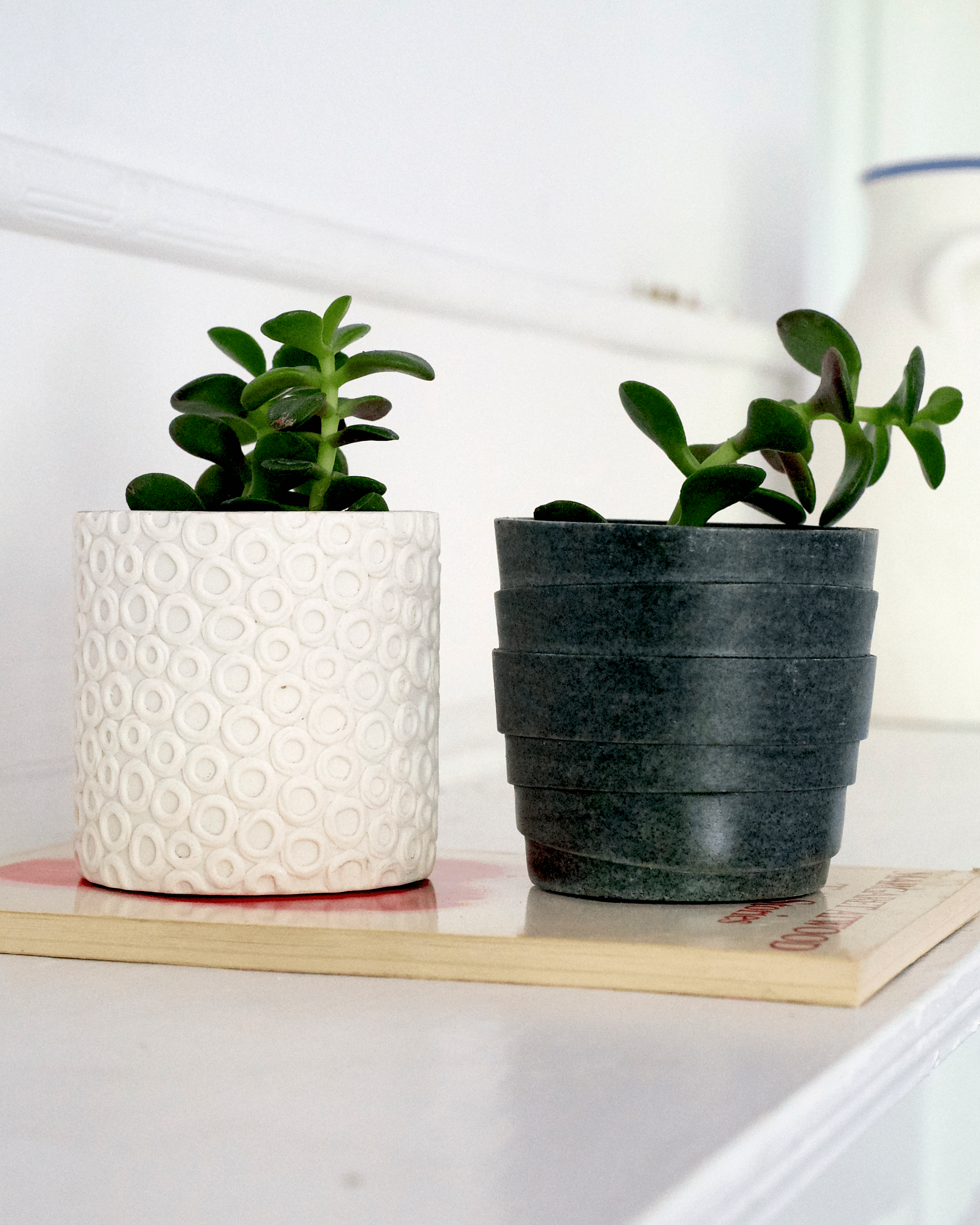 Stagma Resin Planter Pot - Chive Ceramics Studio - Pots - Chive US