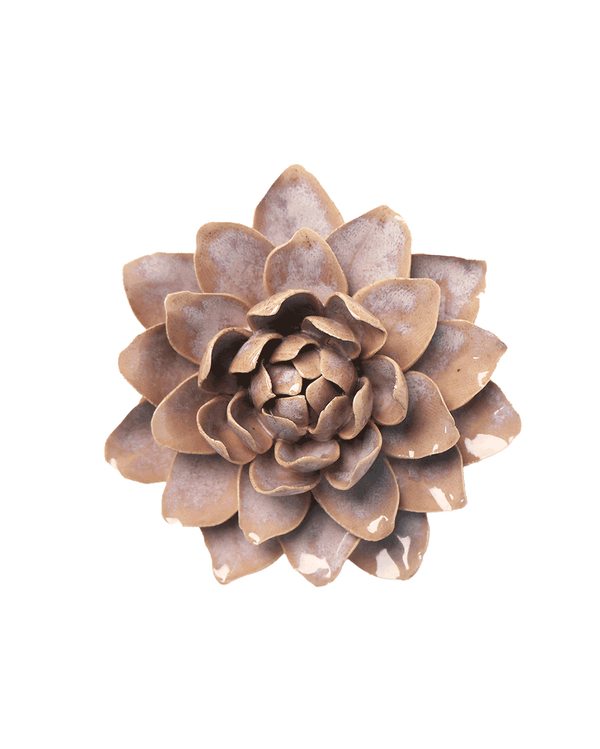 July Birth Flower - Water Lily