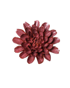 A single dark burgundy dahlia flower centered on a plain white background.