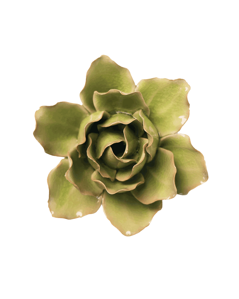 Peridot - Stargazer Lily - handmade by Chive Studio Toronto