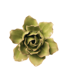 Peridot - Stargazer Lily - handmade by Chive Studio Toronto