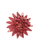 A ceramic succulent flower figurine in a deep burgundy red glaze, isolated on a solid white background.