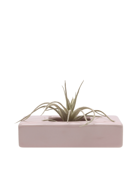 Swayzak Ceramic Kenzan Dish | Chive