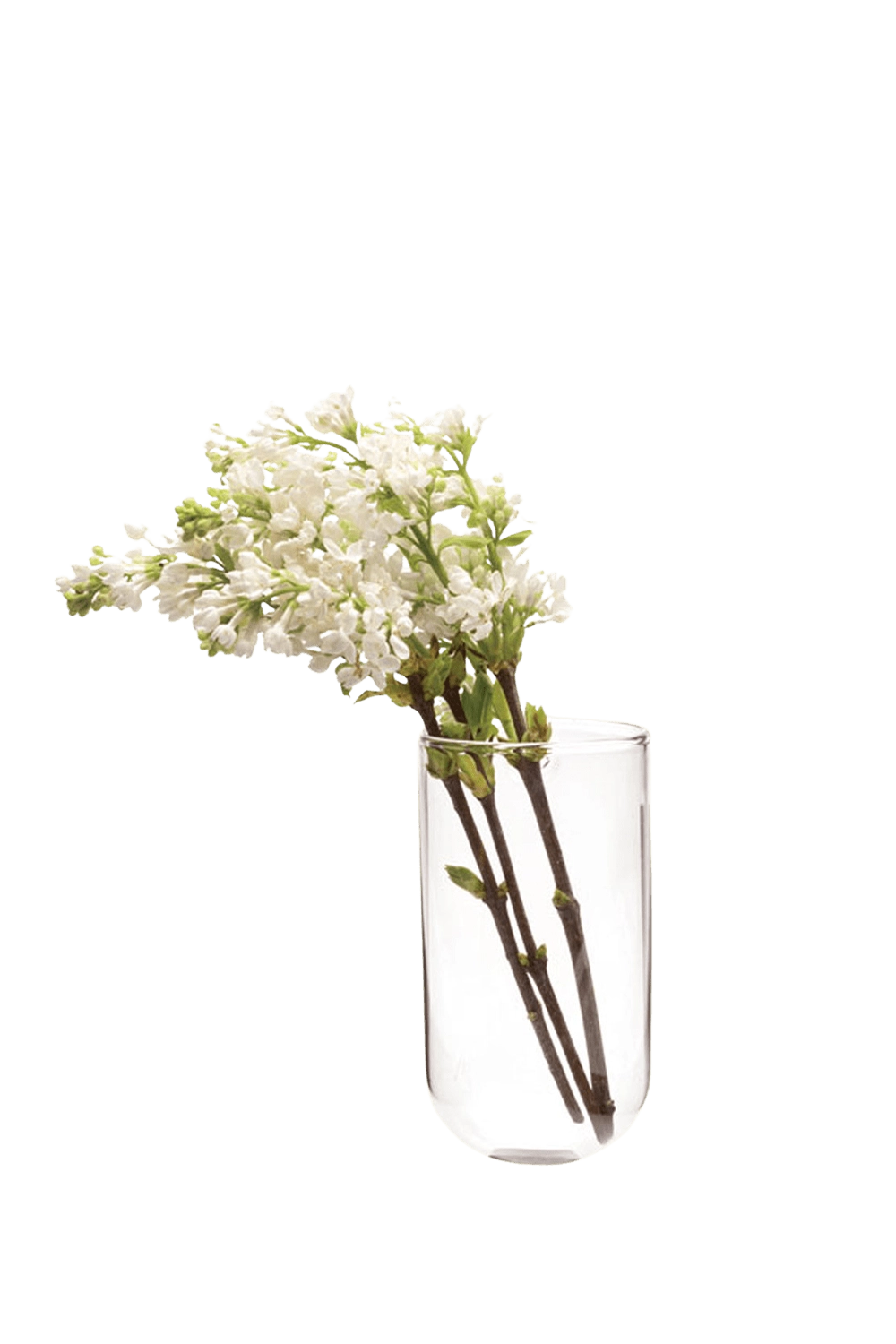 Clear Glass Modern Flower Vase - Wall Cup - handmade by Chive Studio Toronto