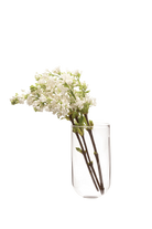 Clear Glass Modern Flower Vase - Wall Cup - handmade by Chive Studio Toronto