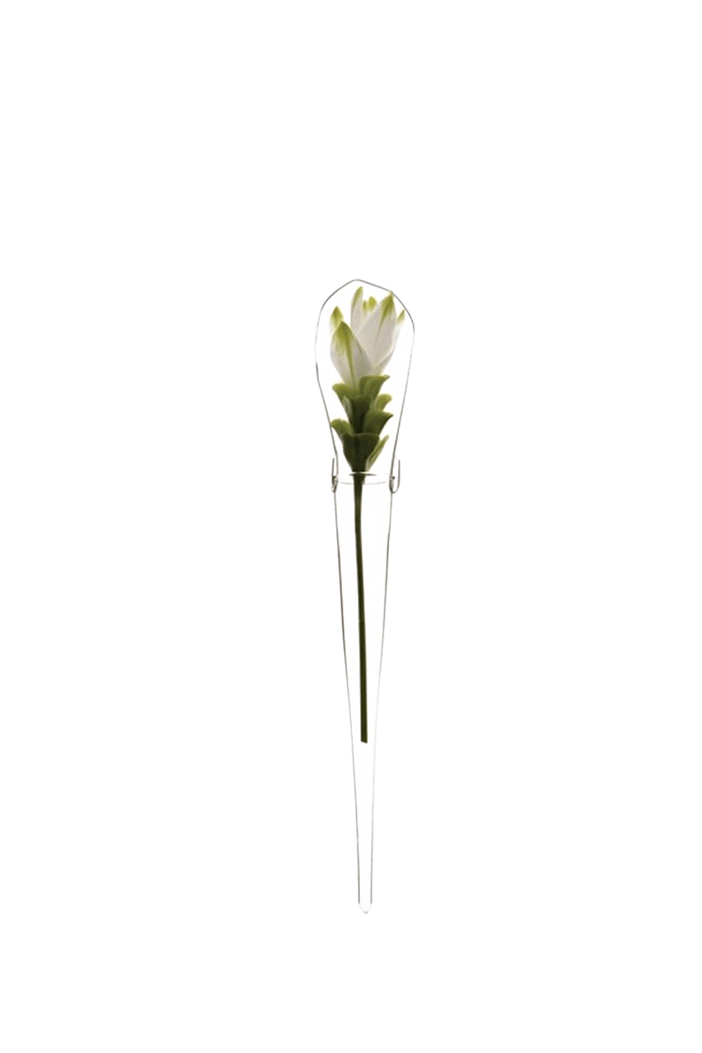 Clear Glass Modern Flower Vase - Window Cone - handmade by Chive Studio Toronto