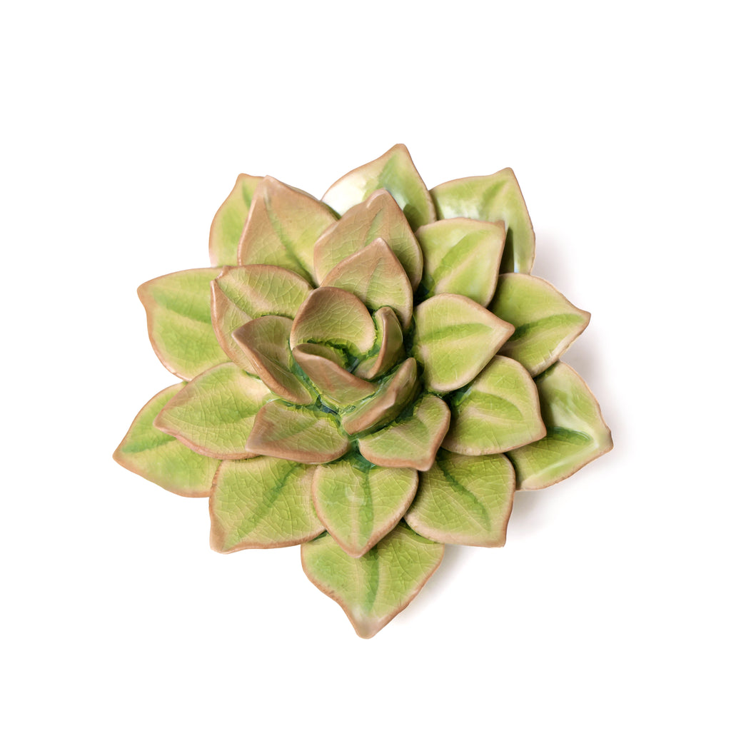 Ceramic Flower Wall Art Green Medium Succulent