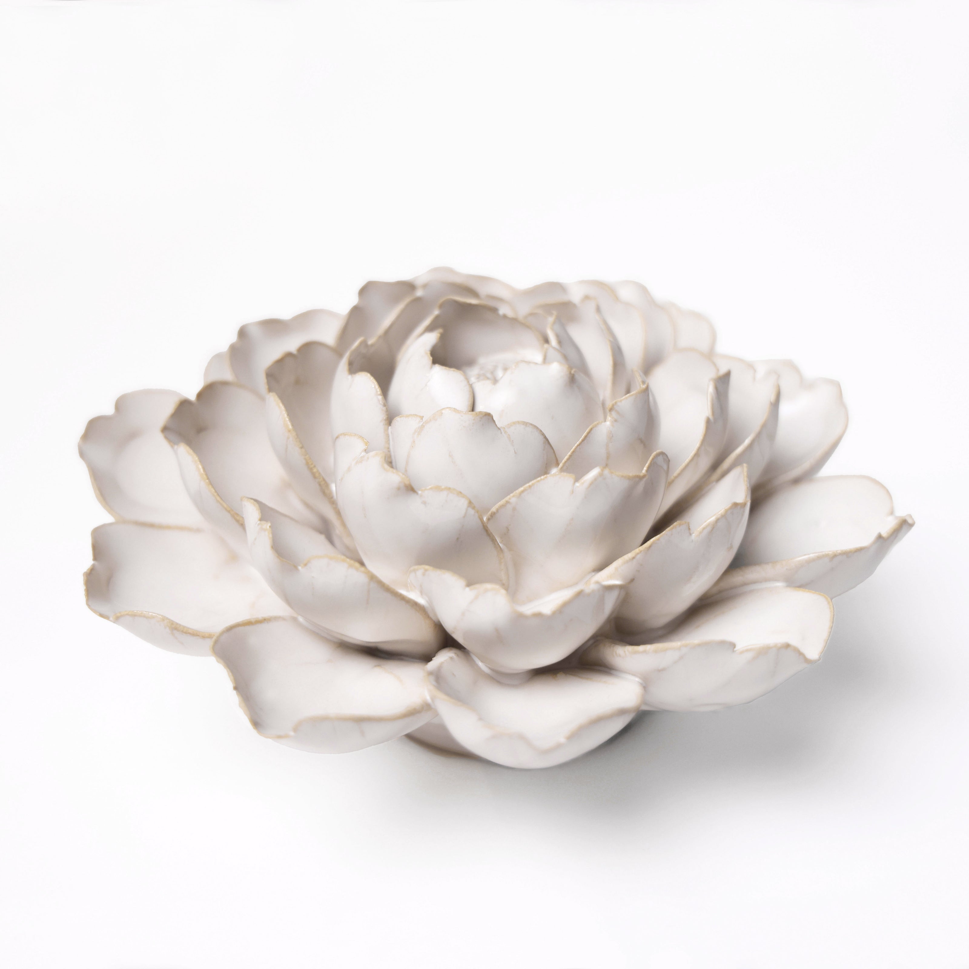 Ceramic Flower Wall Art Ivory Mofo Flower Chive Ceramics Studio